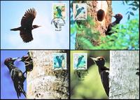 Serbia Black Woodpecker Set of 4 official Maxicards