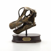 Brachiosaurus Skull - Brown