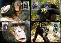 Guinea Chimpanzee Set of 4 official Maxicards
