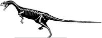 Elaphrosaurus