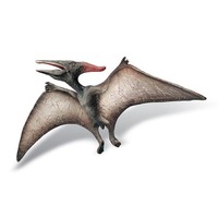 Museum Line Pteranodon