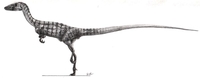 Propcompsognathus