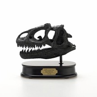 Allosaurus Skull - Black