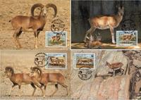 Afghanistan Urial Set of 4 official Maxicards