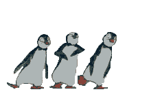 PENGUINANI-dancing_penguins_animated.gif