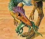 Sinosauropteryx.jpg