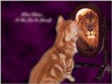 Animals - 1024 - Cat Lion.jpg - File 06 of 25 (1/1)