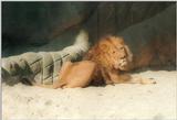 Hagenbeck Zoo again - Daddy Lion, putting on the 