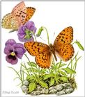 Art by Hermann Fey Butterfly03.jpg (1/1) 105116 bytes