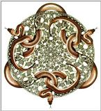 Fine Art: M. C. Escher: Snakes, Woodcut, 1969 - snakes.jpg [01/01]