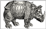 Fine Art: Albrecht Duerer: The Rhinoceros - srhino.gif [01/01]