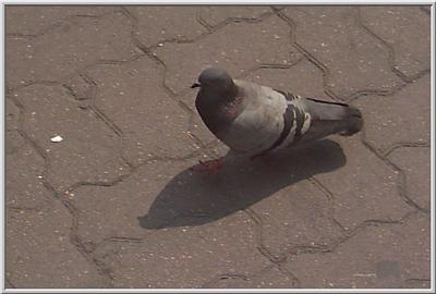 ���⸦ ������ ������ �� �� �ֽ��ϴ�.