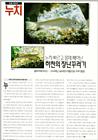 Korean Barbels (누치/참마자) - scanned article
