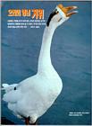 Korean WaterFowl-Swan Goose J07-Crying clsoeup