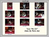 Lucy The Cat Digi-Pix (Kodak DC 200 Plus) - lucycs.jpg(1/1) 102938 bytes