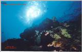More Papua New Guinea Reefs