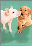 Piggy-Loves-Puppy