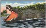 Crocodile (2) - Painting