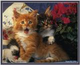 Cute Kitties For the Group ( Dedicated to Uni & Yaliht ) - c kat05.jpg(1/1) 64760 bytes