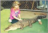 Kid & Alligator