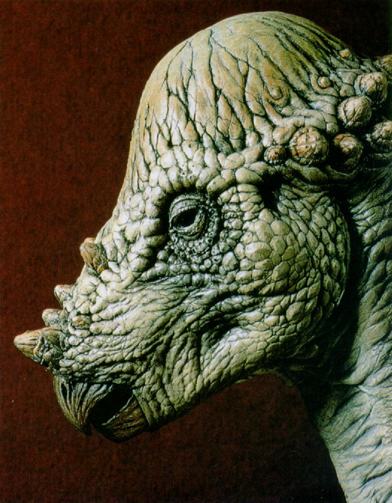 Pachycephalosaurus (J01) Face; DISPLAY FULL IMAGE.