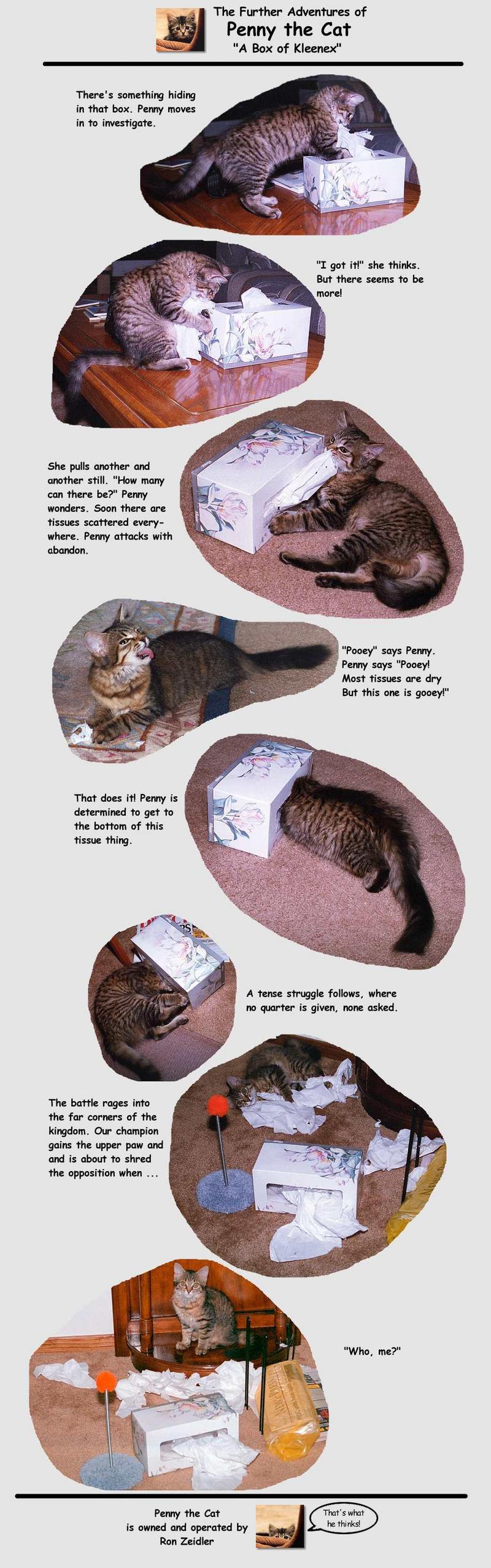 The Further Adventures of Penny the Cat; DISPLAY FULL IMAGE.
