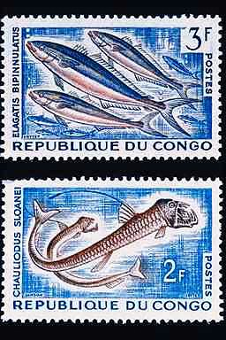 Stamps. Fish. == rainbow runner (Elagatis bipinnulata), Sloane's viperfish (Chauliodus sloani); Image ONLY