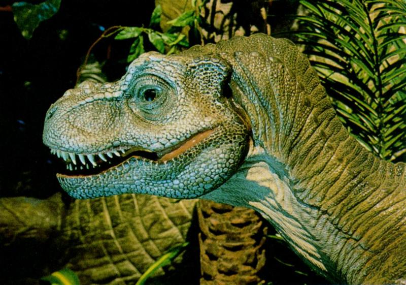 Tyrannosaurus rex (J01) Face; DISPLAY FULL IMAGE.