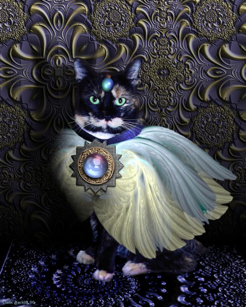 Yaz (cat) with fractals; DISPLAY FULL IMAGE.
