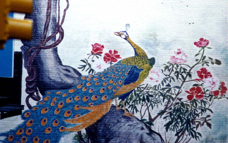 Chinese art. pavoreal.jpg (1/1); DISPLAY FULL IMAGE.