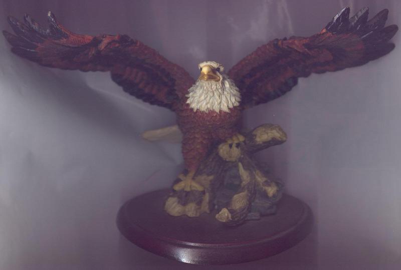 Eagle 3; DISPLAY FULL IMAGE.