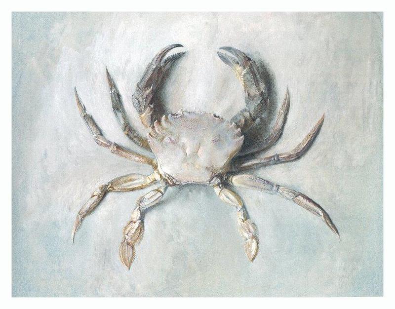 New art scans_Idx B - jrnas_007_john-ruskin_velvet-crab_c.1870-1.jpg (1/1); DISPLAY FULL IMAGE.