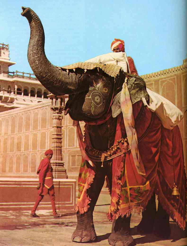 Indies-Elephant; DISPLAY FULL IMAGE.