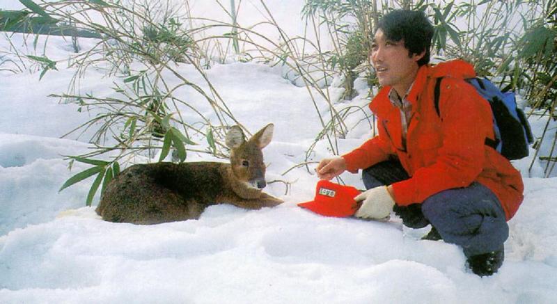 Korean Mammal: Chinese Water Deer J05 - with a Forest Guard; DISPLAY FULL IMAGE.