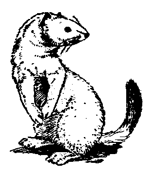 Clipart Mammals